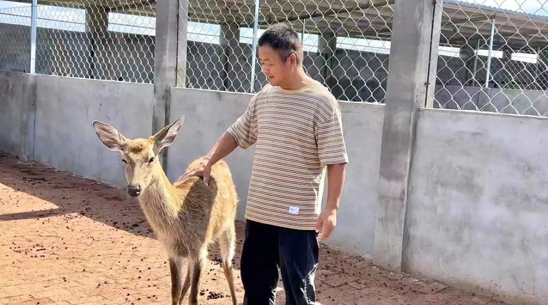 伯爵电子游艺
